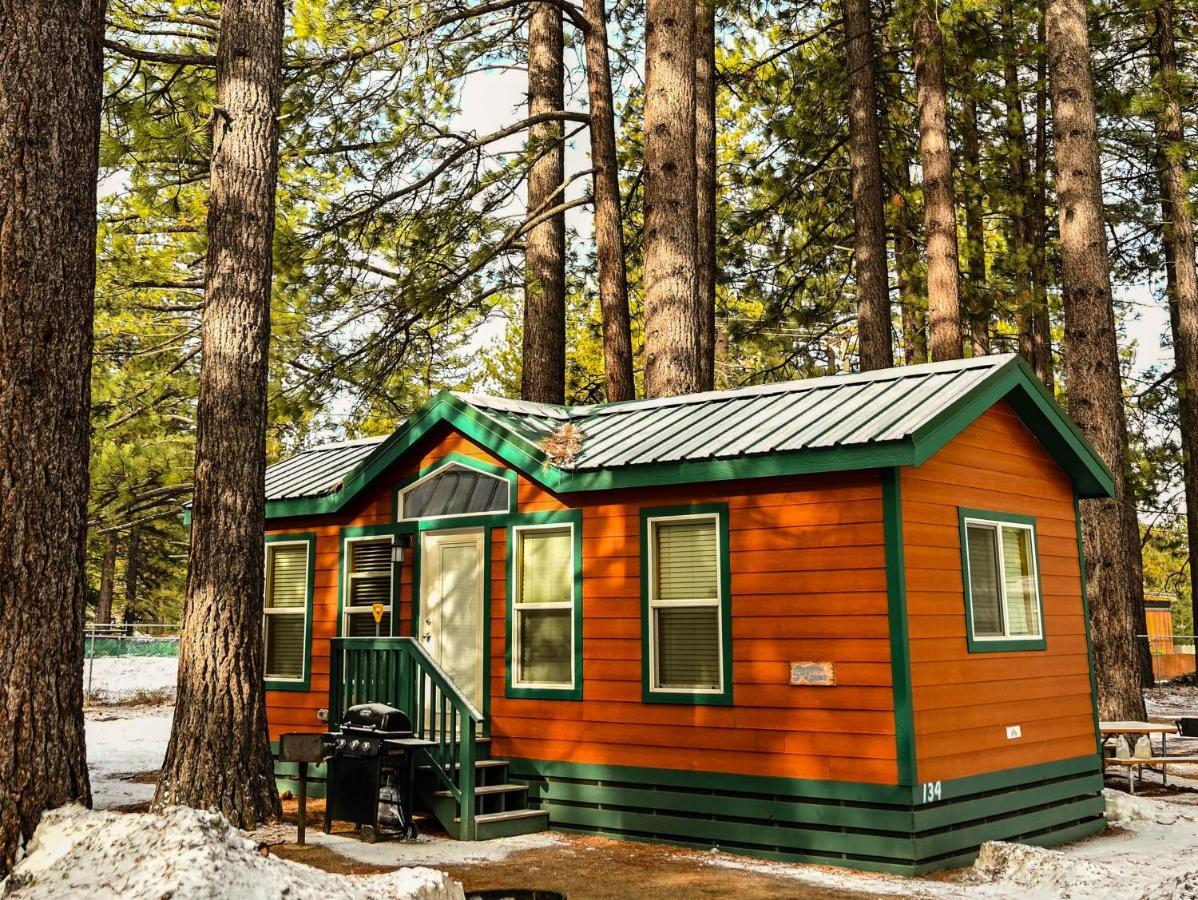 Tahoe Valley Cottage 2 サウス・レイクタホ エクステリア 写真