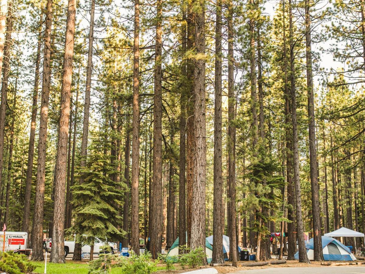 Tahoe Valley Cottage 2 サウス・レイクタホ エクステリア 写真